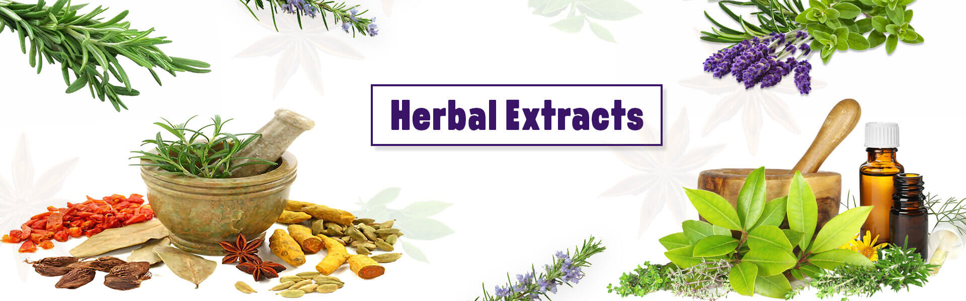 Herbal Extracts