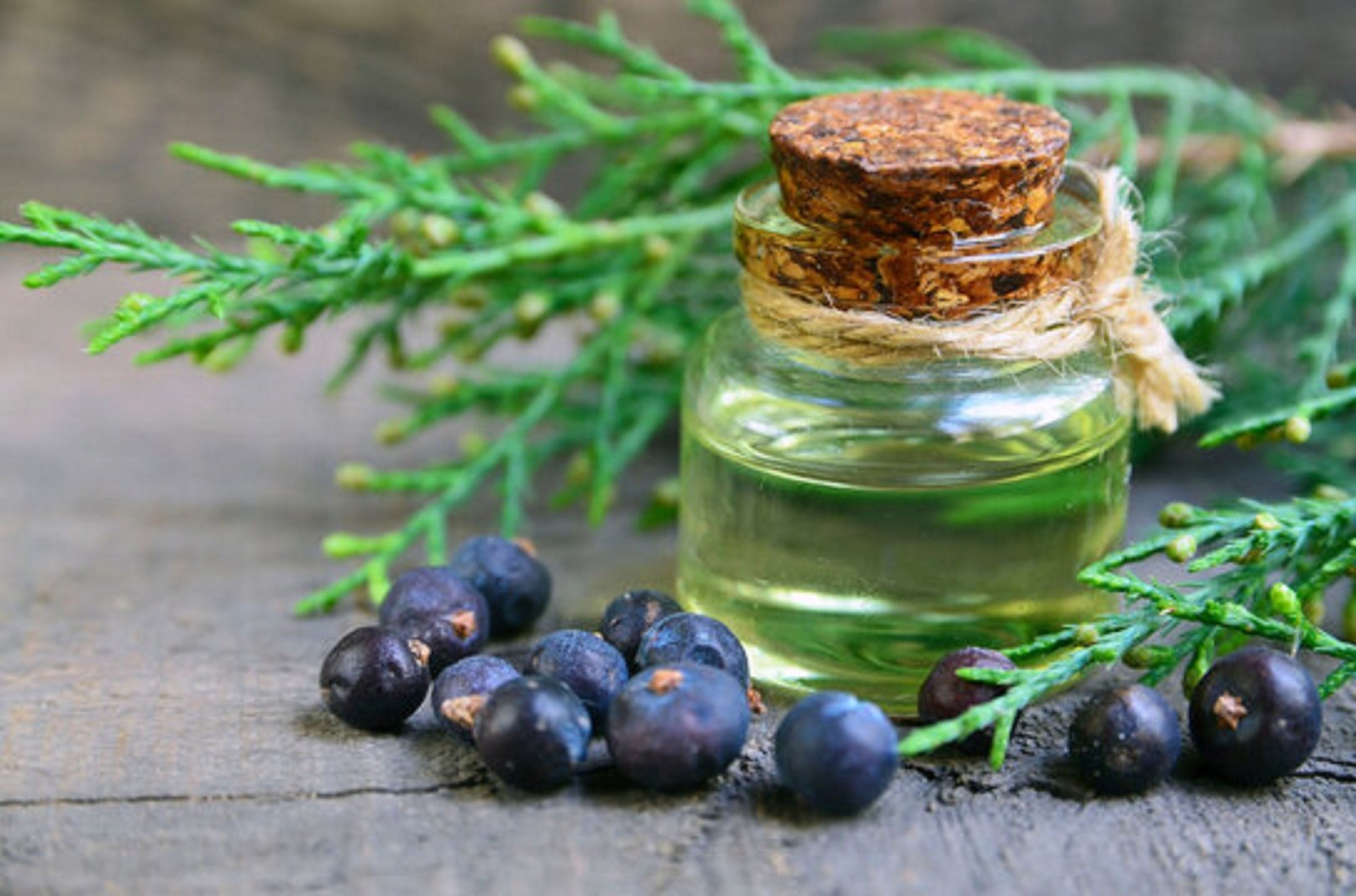 Juniper Berry Oil for a Clear and Glowing Complexion