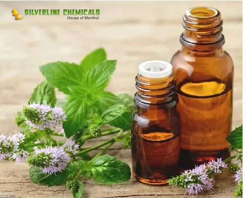 Sustainable Peppermint Oil Manufacturers for Eco-Friendly Products