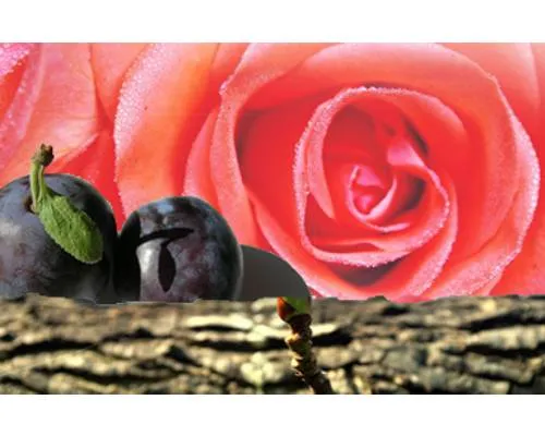 Alpha Damascone Manufacturers In India