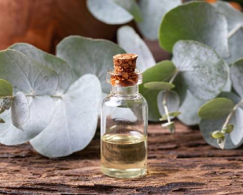 Alpha Pinene Ex Eucalyptus Oil In Al Dhaid