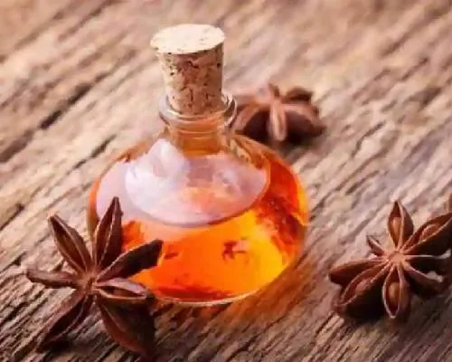 Aniseed Oil Manufacturers In India