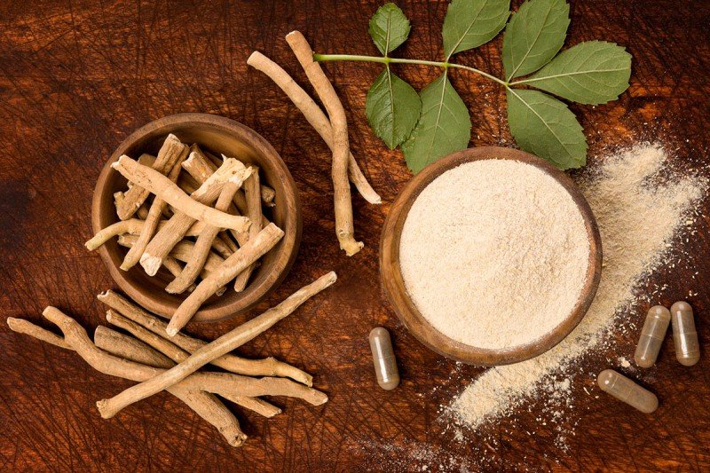 Ashwagandha Extract Supplier In Indonesia
