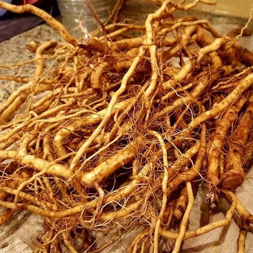 Ashwagandha Root In Dubai