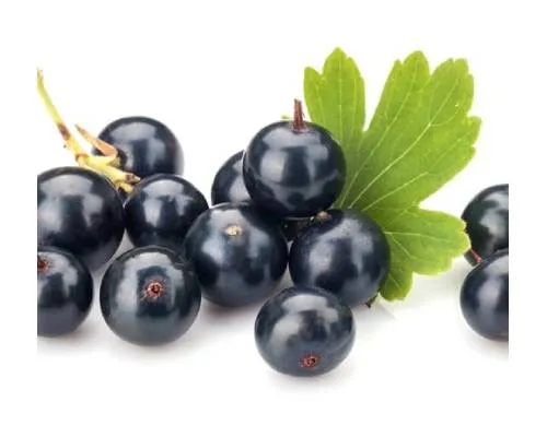 Beta Damascone Manufacturers In India