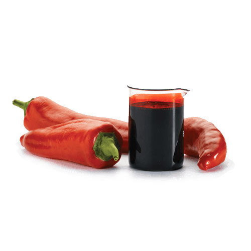 Capsicum Oleoresin  In East Timor