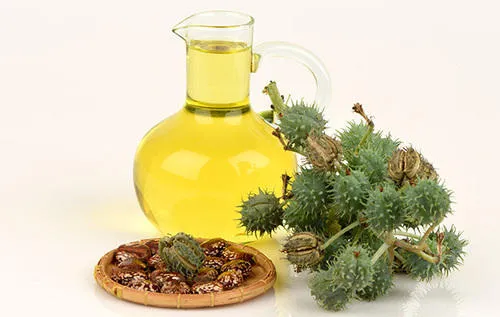 Castor Oil & Its Derivatives Manufacturers In India