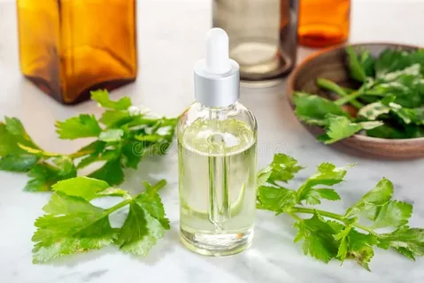 Celery Oil Manufacturers In Ethiopia