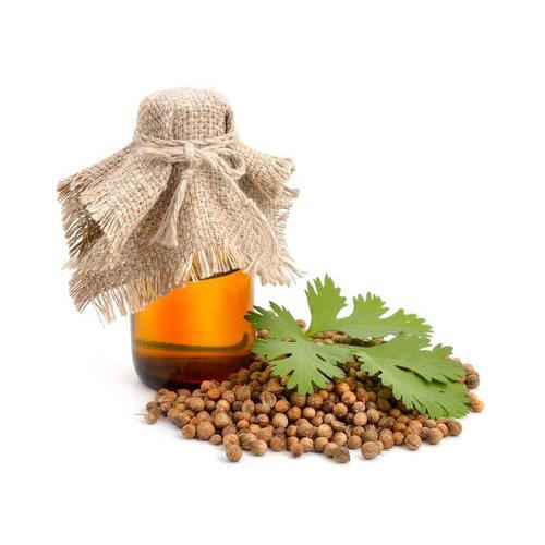 Coriander Oleoresin