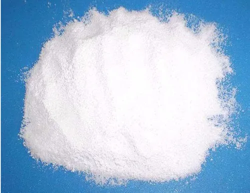 Croscarmellose Sodium USP/BP/EP/PH.EUR Manufacturers In India