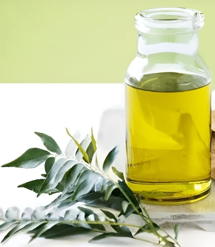 Curry Leaf Oleoresin Manufacturers In Ethiopia