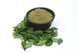 Curry Leaf Powder Manufacturers In Suriname