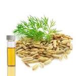 Dill Seed Oil BP