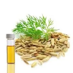 Dill Seed Oil BP Manufacturers In India