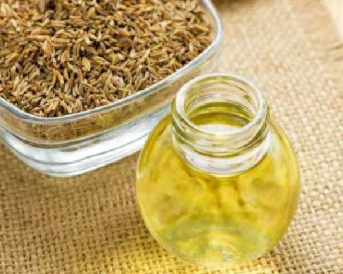 Fennel Seed Oil In Sha'am