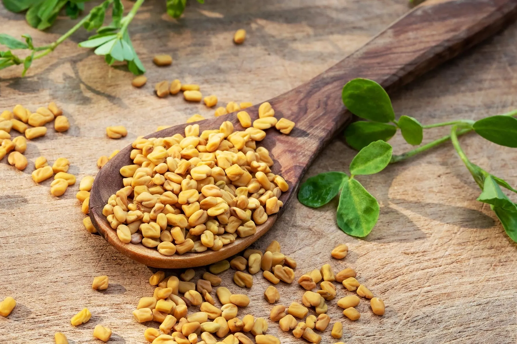 Fenugreek Extract Manufacturers In Ethiopia