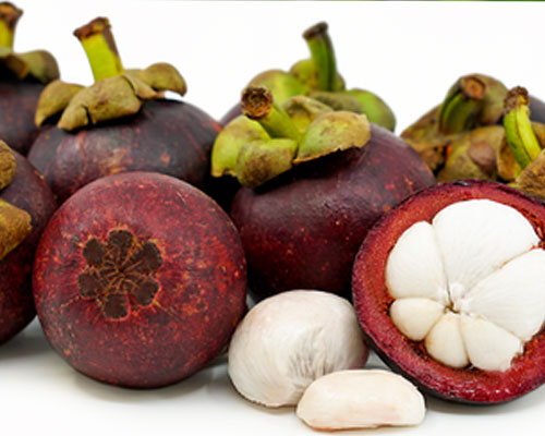 Garcinia Mangostana In Lahbab