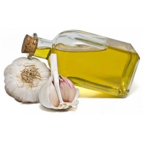 Garlic Oleoresin Manufacturers In India