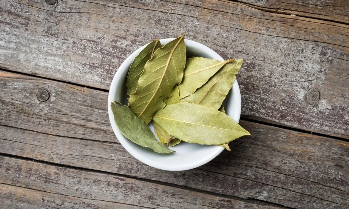 Geranyl Acetate  Manufacturers In India