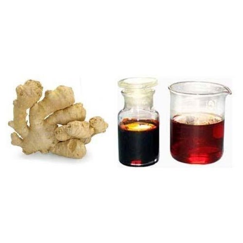 Ginger Oleoresin In Masfut