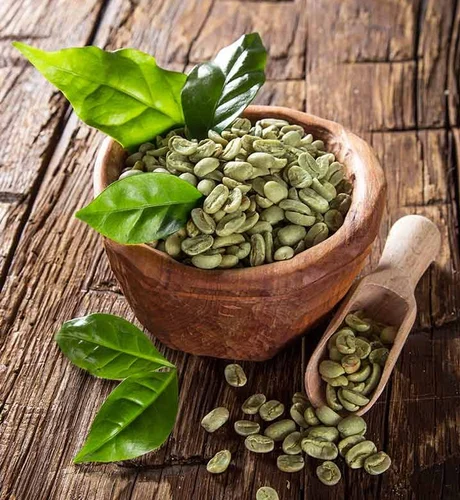 Green Coffee Extract Supplier In Indonesia