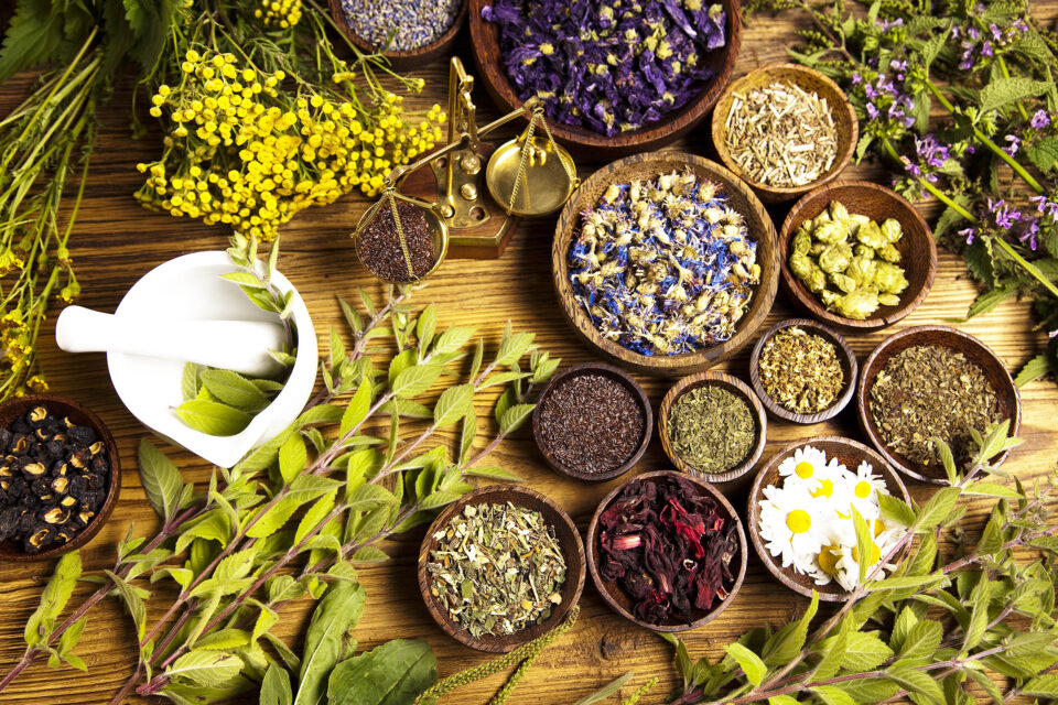 Herbs Manufacturers In Suriname