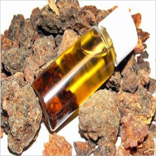 Green Tea Extract  Manufacturers In India