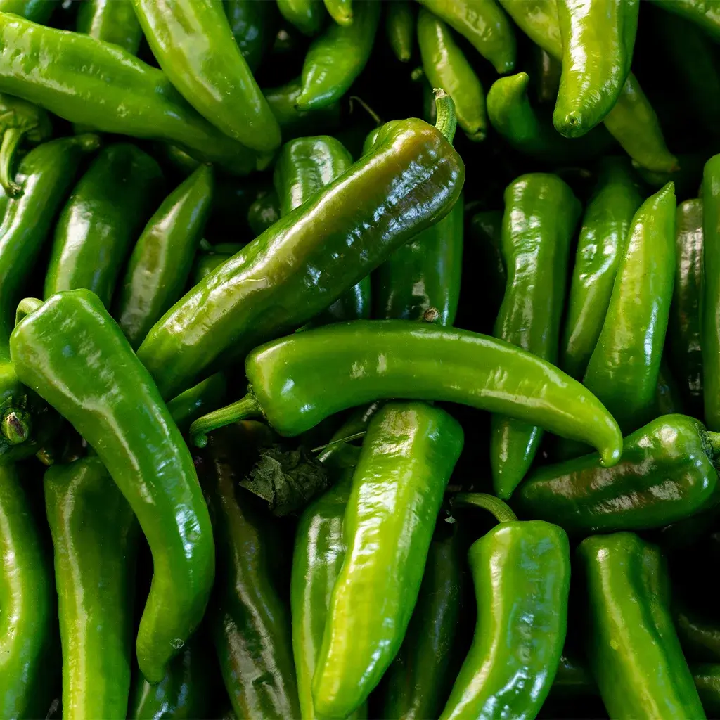 Jalapeno Pepper Extract Manufacturers In Ethiopia