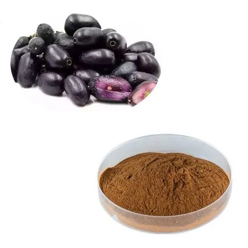 Jamun Extract Manufacturers In Ethiopia