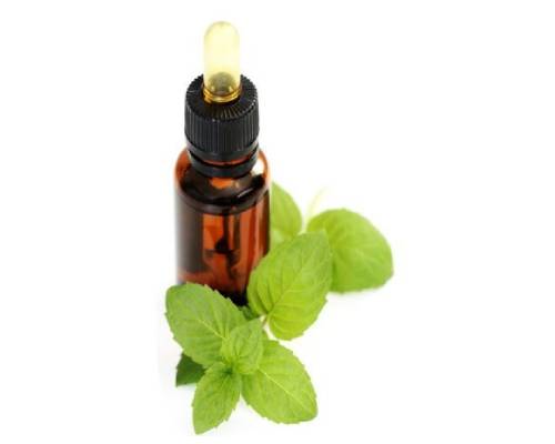 Natural Peppermint  Manufacturers