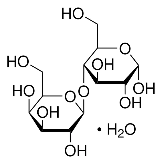 Lactose Monohydrate  Manufacturers In Kazakhstan
