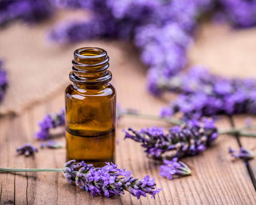 Lavender Oil In Peru