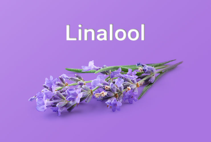 Linalool In UAE