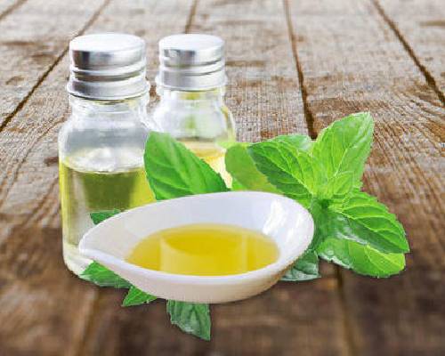 Mentha Arvensis Oil In India
