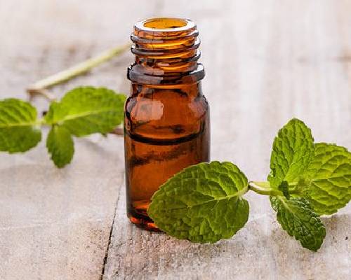 Mentha Citrata Oil In Al Bidya