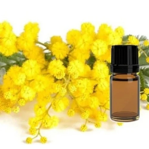 Mimosa Absolute Manufacturers In Ethiopia