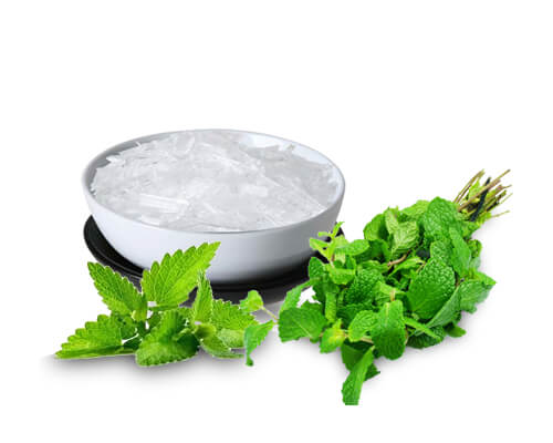 Mint Products In South Carolina