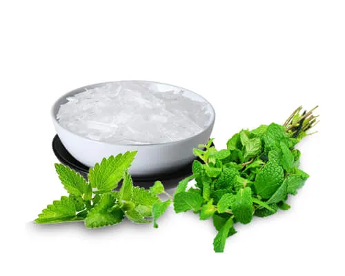Mint Products Manufacturers In India