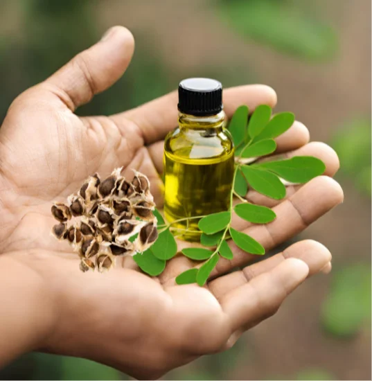 Moringa Oil Manufacturers In South Sudan