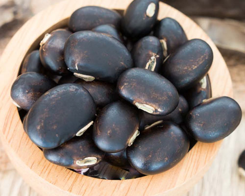 Mucuna Pruriens In Al Faqa