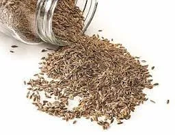 Natural Dill Seed Oil Manufacturers In India