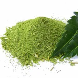 Neem Extract Powder 20% Azadirachtin Content Manufacturers In India