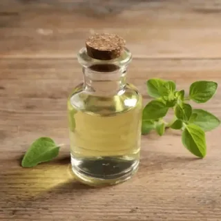 Oregano Oil Manufacturers In Ethiopia