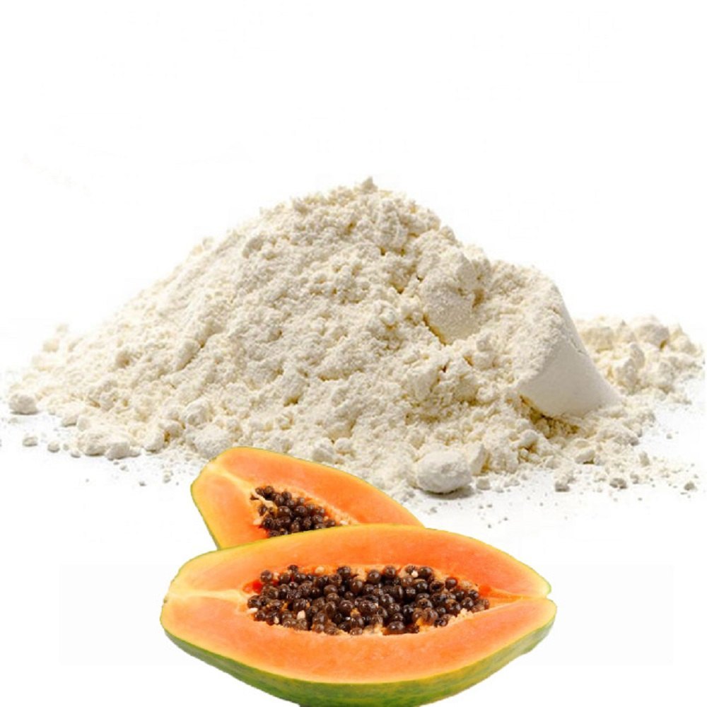 Papain Powder In Umm Al Quwain