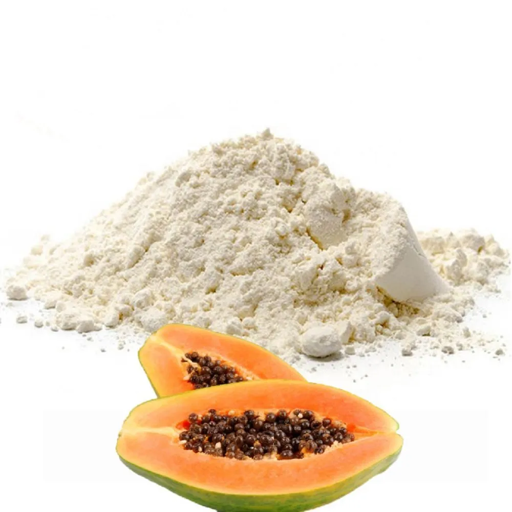 Papain Powder Manufacturers In India