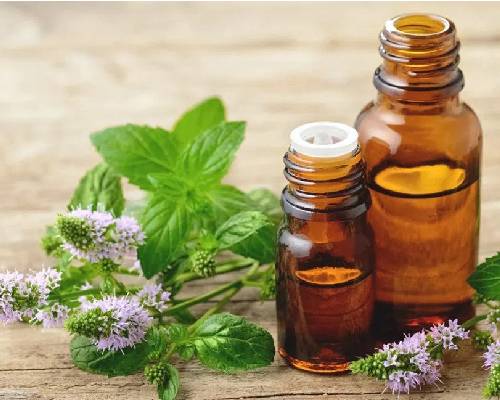 Peppermint Oil  Manufacturers