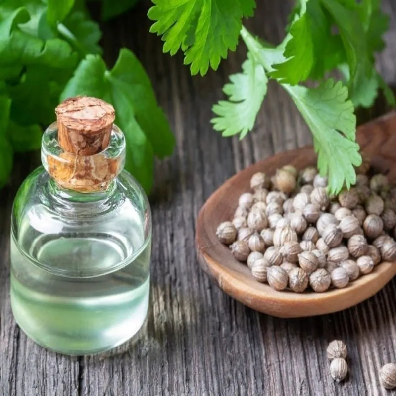 Roasted Coriander Oleoresins Manufacturers In India