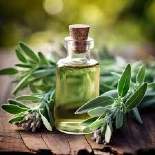 Sage Oil Manufacturers In Ethiopia