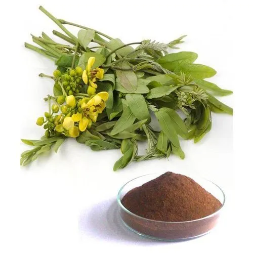 Senna Extract Manufacturers In India