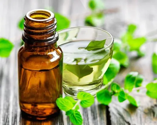 Spearmint Oil FCC USP/BP Manufacturers In India
